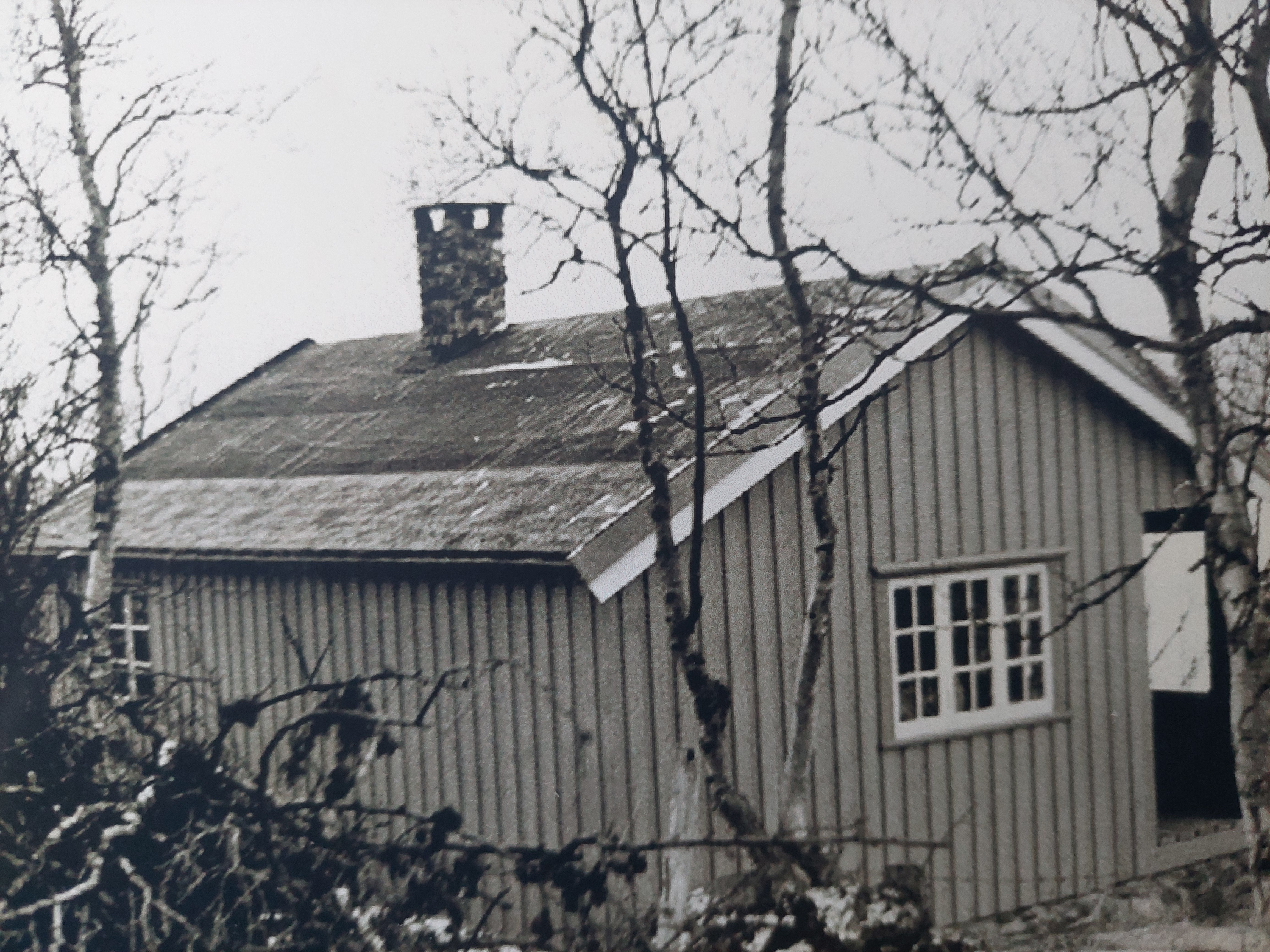 Kameratbua fotografert fra oversida